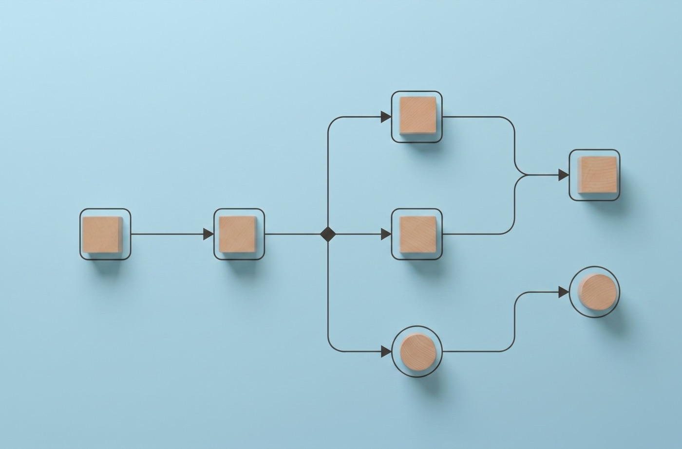 A branching workflow diagram of blocks and connectors